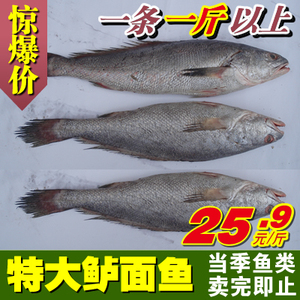  span class=h>米鱼 /span>鳘 鳘鱼 海鲜特价 一条一斤