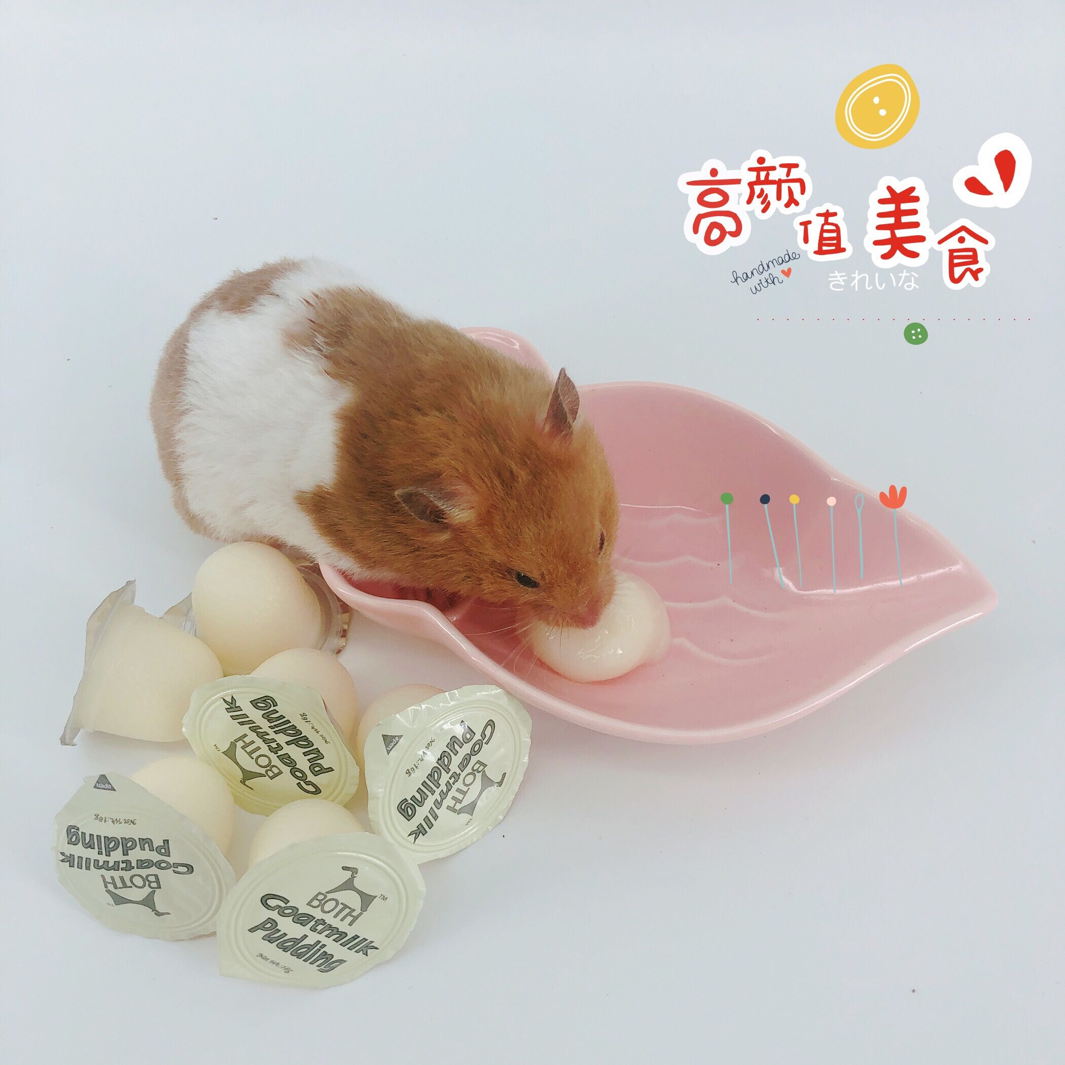 仓鼠粮零食用品兔子荷兰猪豚鼠松鼠零食食物羊奶布丁果冻单粒