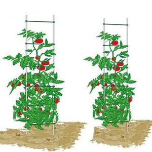 辣椒架番茄支架茄子架黄瓜 span class=h>植物 /span> span class=h>