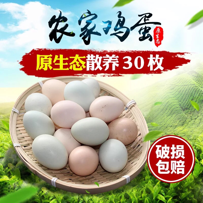 贵州山林散养草鸡纯天然虫草野外柴鸡新鲜土鸡蛋初生蛋绿壳鸡蛋30