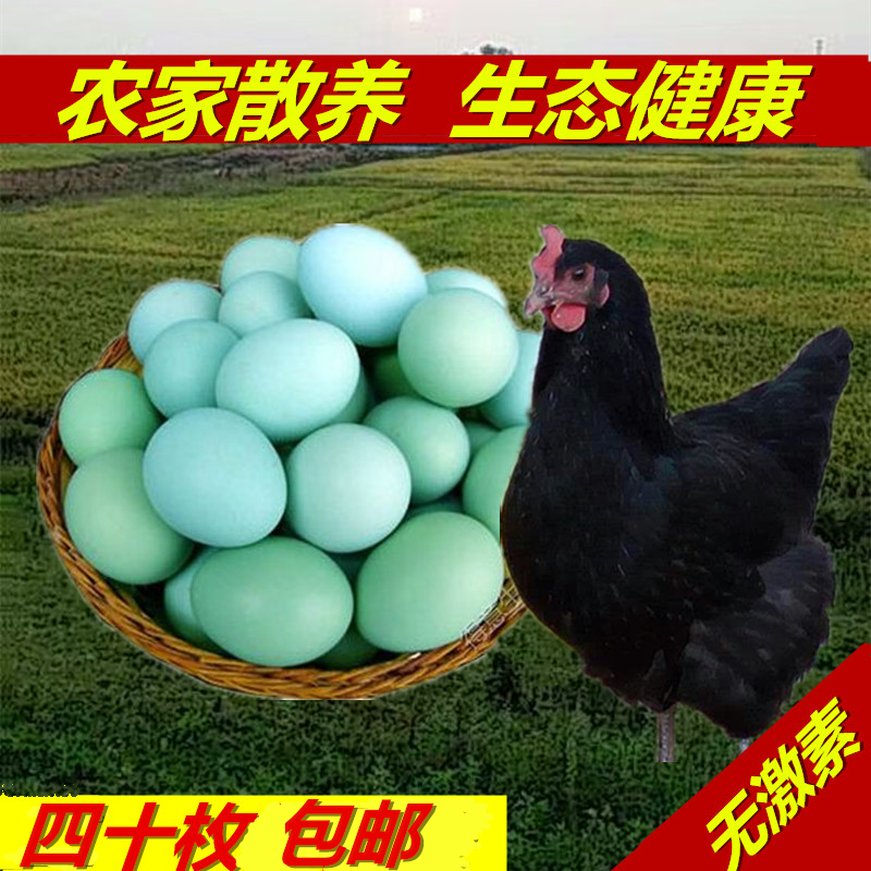 受精蛋种蛋青壳绿壳受精蛋正宗自养新鲜绿皮土鸡蛋虫草蛋笨鸡蛋40