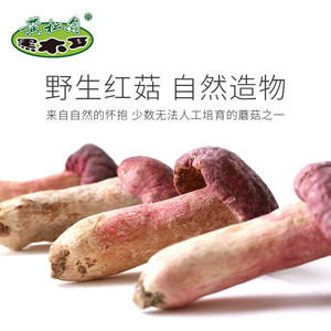 野生红菇特产图片