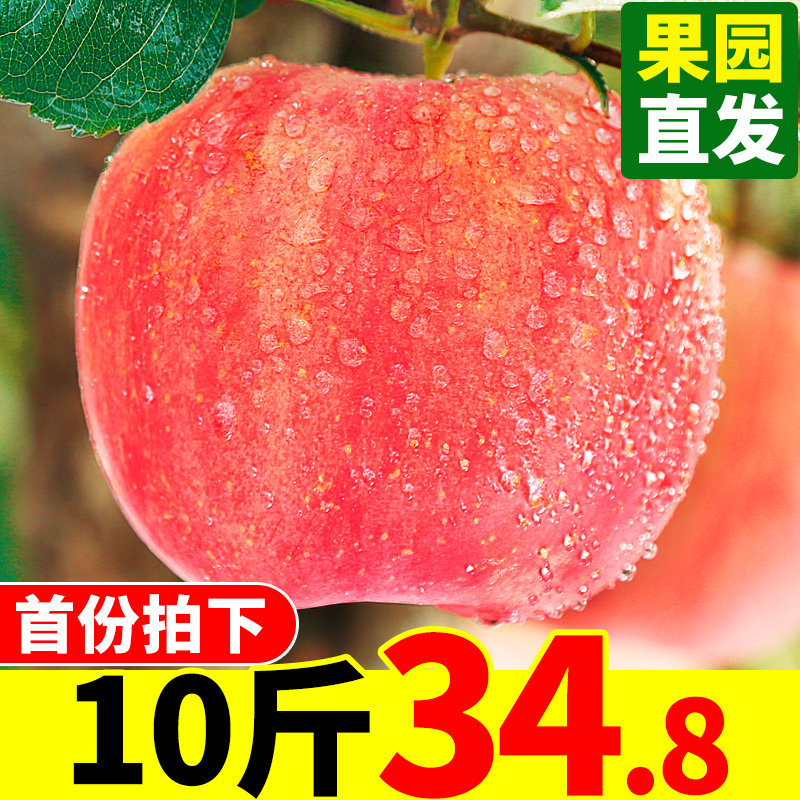 苹果水果新鲜包邮当季红富士整箱10斤装一箱陕西野生冰糖心丑苹果
