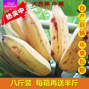 class=h>芭蕉/span banana 广西新鲜水果包邮香蕉海南苹果粉蕉 小米