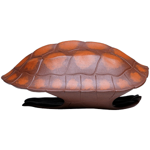 紫砂龟壳图片