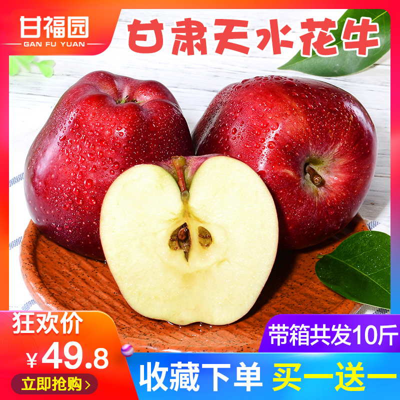 【现摘现发】甘肃天水花牛苹果 新鲜水果红蛇果带箱10斤礼县包邮