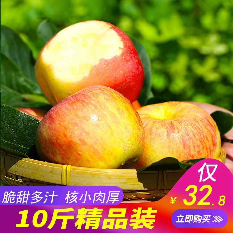 苹果水果10斤新鲜当季红富士整箱批发包邮现摘应季吃的丑苹果