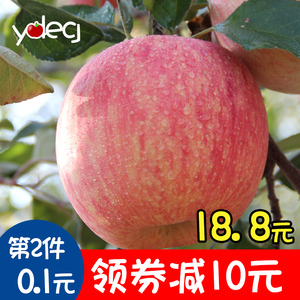 【ydeg】烟台苹果水果新鲜红富士山东特产脆甜苹果2.5斤带皮吃苹果新鲜