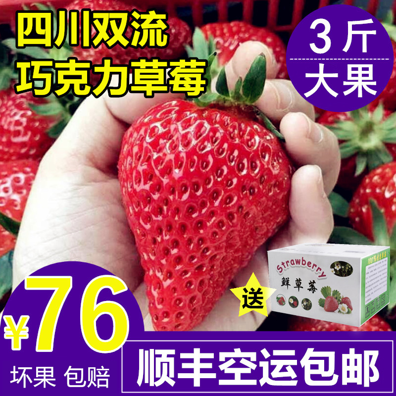 现货 成都双流冬草莓新鲜红颜奶油巧克力3斤孕妇水果批发非丹东99