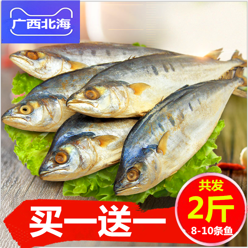 广西北海马鲛鱼干500g*2 有5-10条鱼 海鲜干货特产鲅鱼清蒸咸鱼干