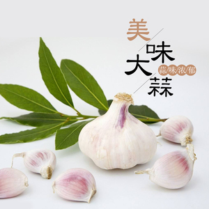 千蔬百花蔬菜紫皮干大蒜 山东金乡大蒜新鲜蔬菜5斤大瓣蒜头辣味足