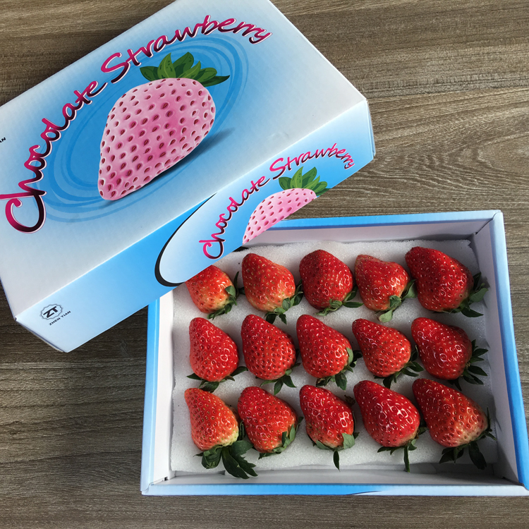 新季节新鲜巧克力牛奶草莓1盒精选甜草莓鲜果广东省内3盒顺丰包邮