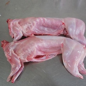 生兔子肉 新鲜冰冻兔肉 整只 整条兔子白条兔肉兔獭兔兔子腿肉