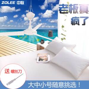 中联小吊扇床上大风力静音微风学生宿舍蚊帐吊扇家用小型遥控扇吊扇