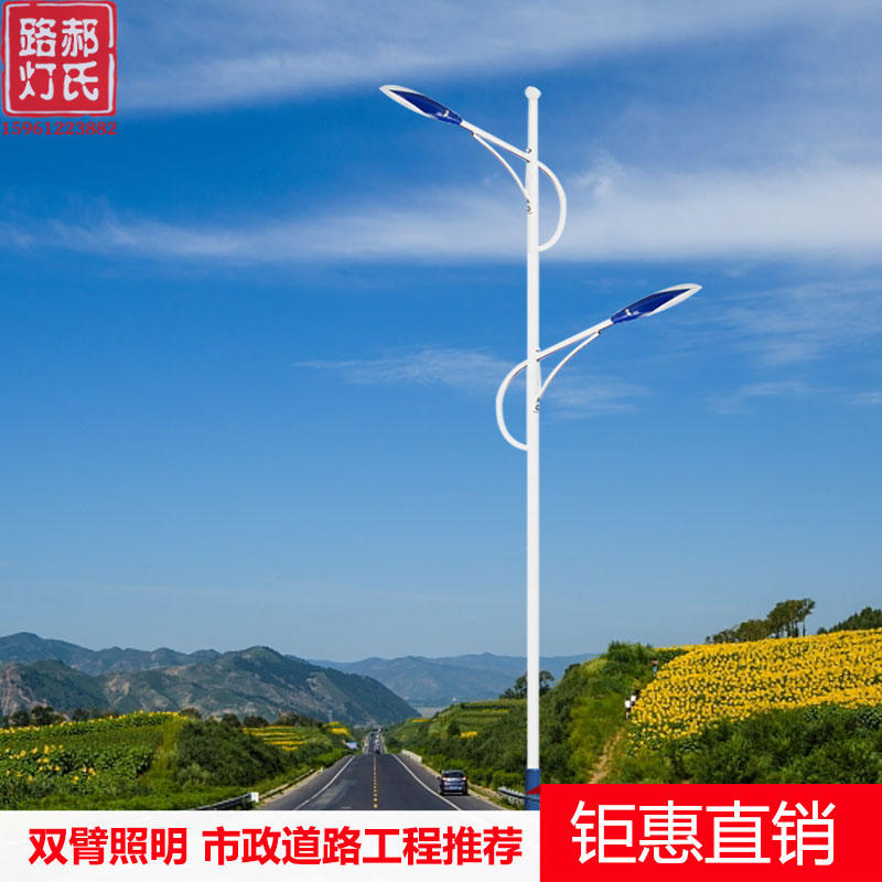 双臂路灯6米8米高低臂路灯杆led路灯高压钠灯路灯户外道路照明灯