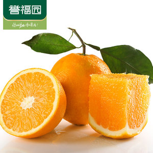 买1送1 实发5斤 誉福园新鲜水果橙子 现摘秭归脐橙果园直供新鲜橙子