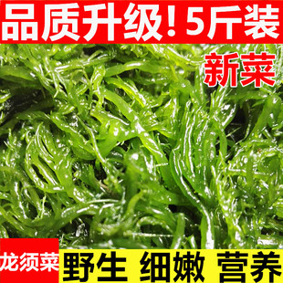 盐渍龙须菜野生海草海石花鹿角菜海藻菜丝裙带菜海带丝干货2500g