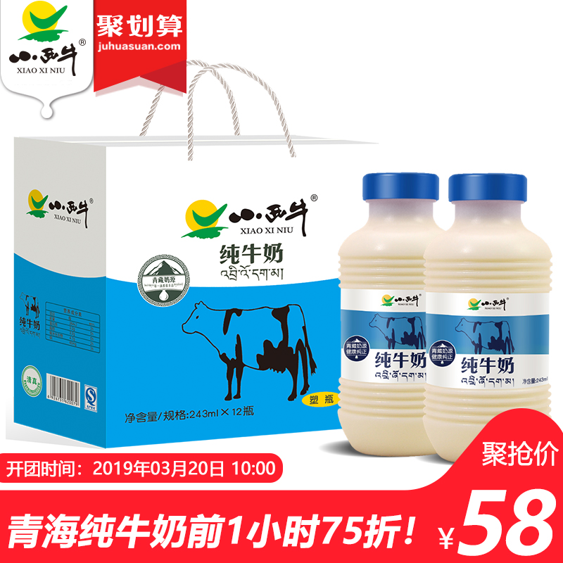 小西牛 青海纯牛奶儿童孕妇补钙营养新鲜牛奶高原奶整箱243mlx12