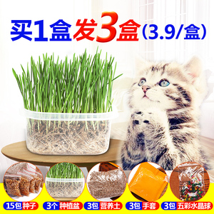 猫草种子猫薄荷粉猫咪去毛球猫草小麦种植套装猫咪用品猫零食