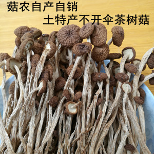 茶树菇干货广昌茶树菇图片