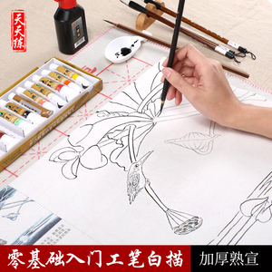 工笔画荷花临摹白描底稿图片