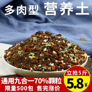 多肉植物专用营养土进口泥炭通用土肉肉叶插种植土多肉颗粒土包邮