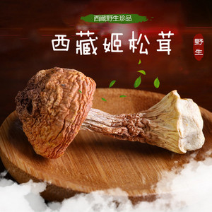 姬松茸干货500g野生菌菇西藏巴西蘑菇农家自产特级西藏美食特产