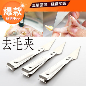 夹鸡毛鸭毛夹子图片