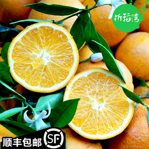 折稻湾| 9斤秭归伦晚脐橙 新鲜时令水果手剥甜橙子 顺丰包邮新鲜橙子