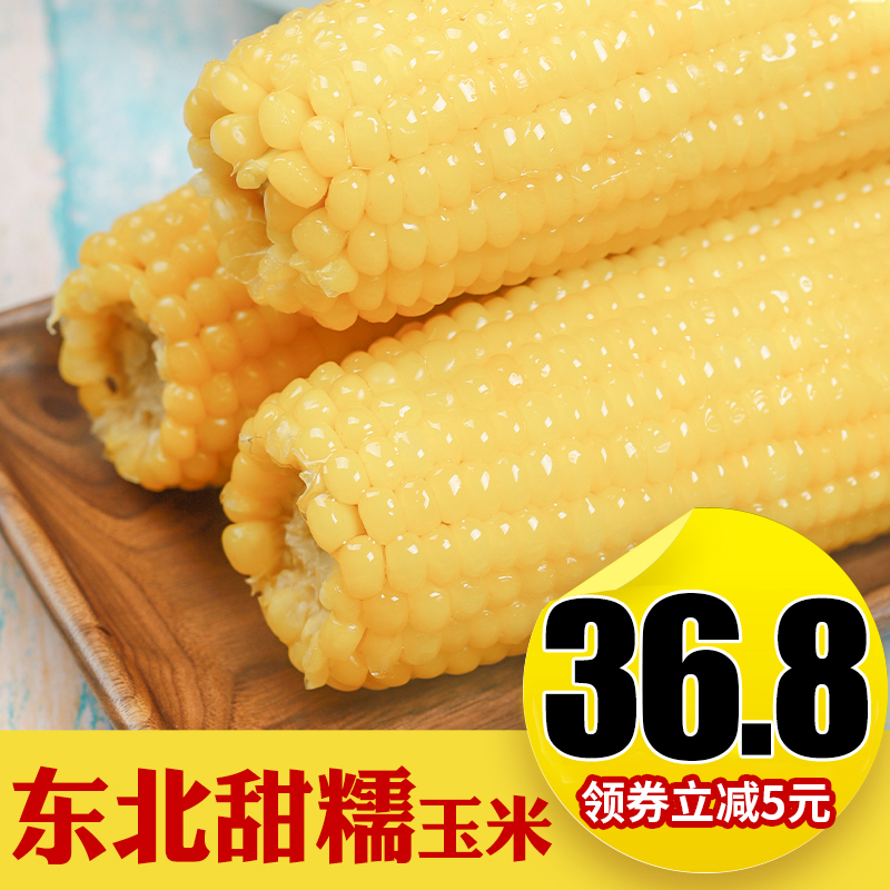 【10根】新鲜黄白甜糯玉米组合真空袋装玉米棒东北黏粘玉米老玉米