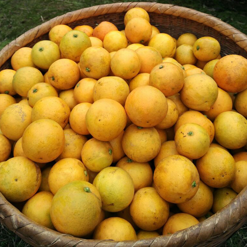 湖南郴州永兴冰糖橙团购新鲜水果甜过储橙