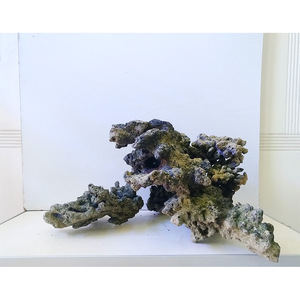 海水爆藻活石造景 海缸死石造景 矮缸造景 适合45以上 sps lps