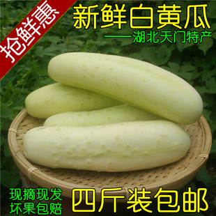 黄瓜
