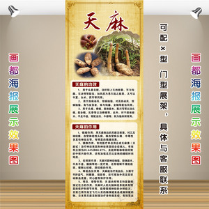 class=h>药材 /span>贴画中医养生海报中药房药店天麻展架