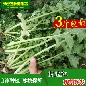 雪里红 1500g雪里蕻雪菜 span class=h>新鲜 /span> span class=h>