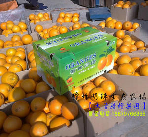 赣南脐橙20斤装 精品果 5 10现摘新鲜橙子 江西特产大曾果园包邮江西特产