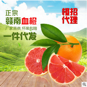 正宗赣南血橙江西红心橙子特产新鲜水果脐橙代理一件代发10斤包邮江西特产
