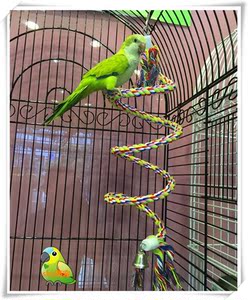 大中小型鹦鹉攀爬绳索图片