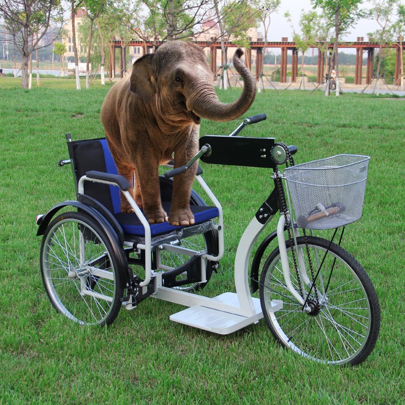 网红手摇轮椅新款老人手摇折叠老年人力代步车自行车三轮车残疾人