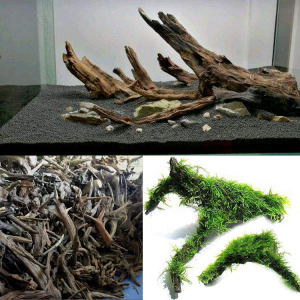 水族箱沉木造景木头鱼缸杜鹃根装饰水草莫斯树根莫斯摩丝草生态缸