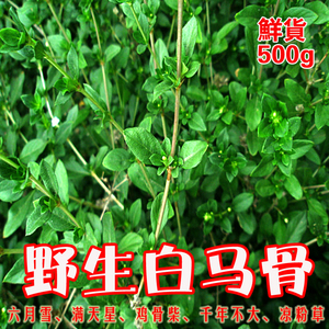 class=h>马 /span>骨鸡骨柴千年不大凉粉草鲜品500g