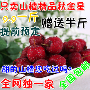 【山楂果】_山楂果价格图片_山楂果品牌官网