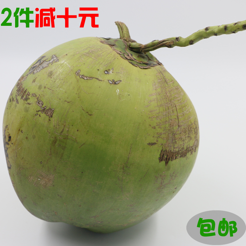 【3个大果】海南热带特产新鲜水果椰子椰青椰皇毛椰新鲜包邮