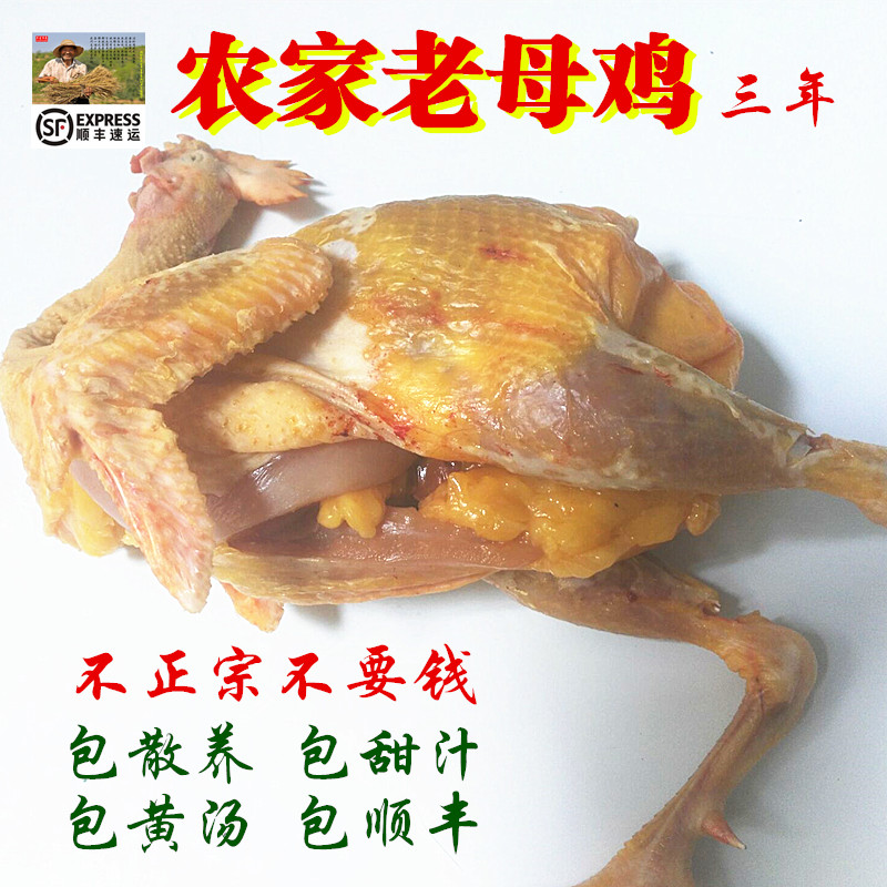 农家散养土鸡 新鲜现杀三年老母鸡 土黄鸡 跑山鸡 月子鸡 包邮