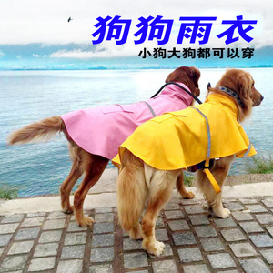 狗雨衣阿拉斯加