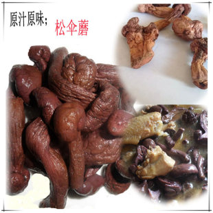 2015红松伞东北干货蘑菇野生红蘑红松伞蘑菇松伞蘑红肉蘑松散蘑