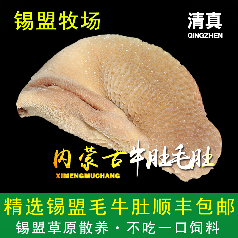 精选锡盟土黄牛肚毛肚生牛肚牛百叶熟牛肚草原牛肚子火锅食材1kg