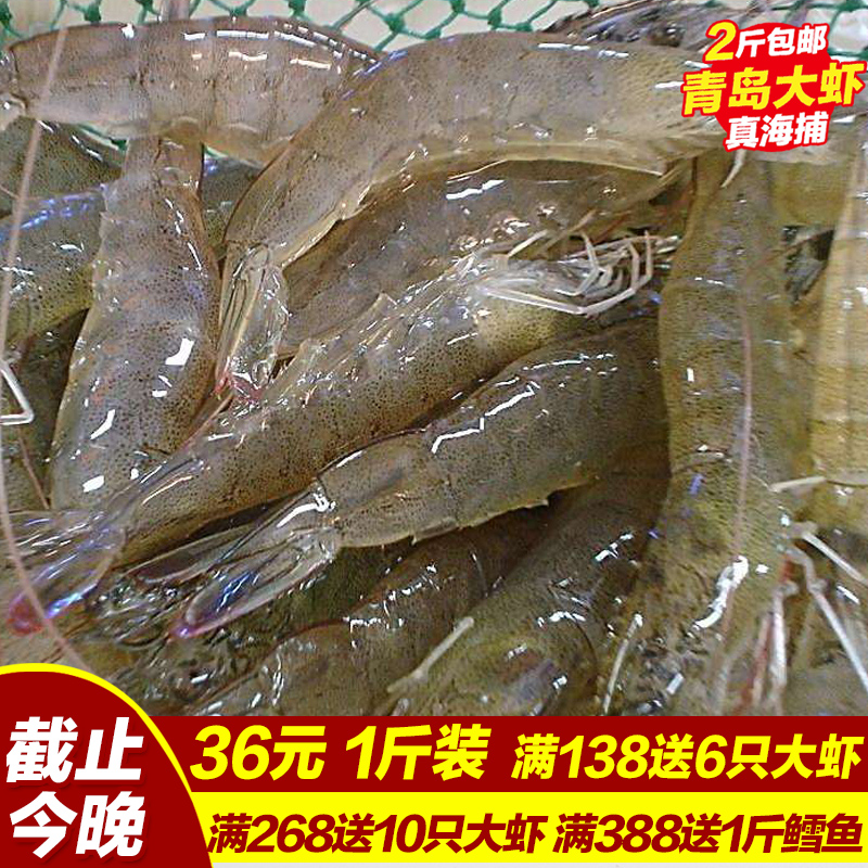 青岛大虾鲜活超大特大海鲜水产青虾冷冻海虾基围虾鲜虾 买4斤包邮