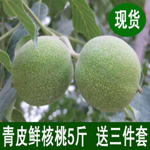 青皮核桃绿皮核桃新鲜湿核桃嫩核桃野生坚果薄皮孕妇核桃5斤批发青皮核桃