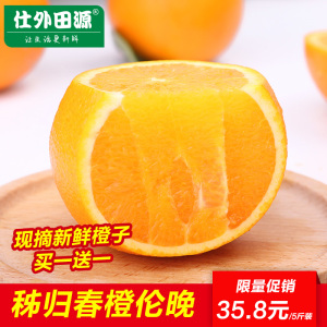 现摘现发秭归伦晚橙子脐橙春橙新鲜当季孕妇水果多汁批发包邮新鲜橙子